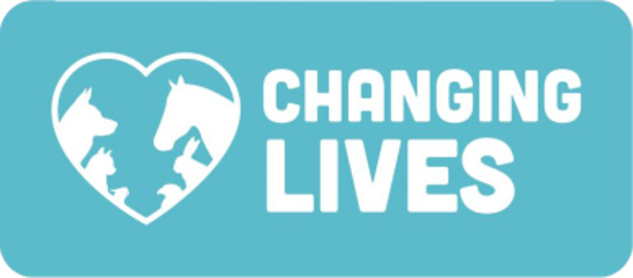 How Horse And Animal Care With Kloodle Can Harness The Potential Of Students At Changing Lives SEN